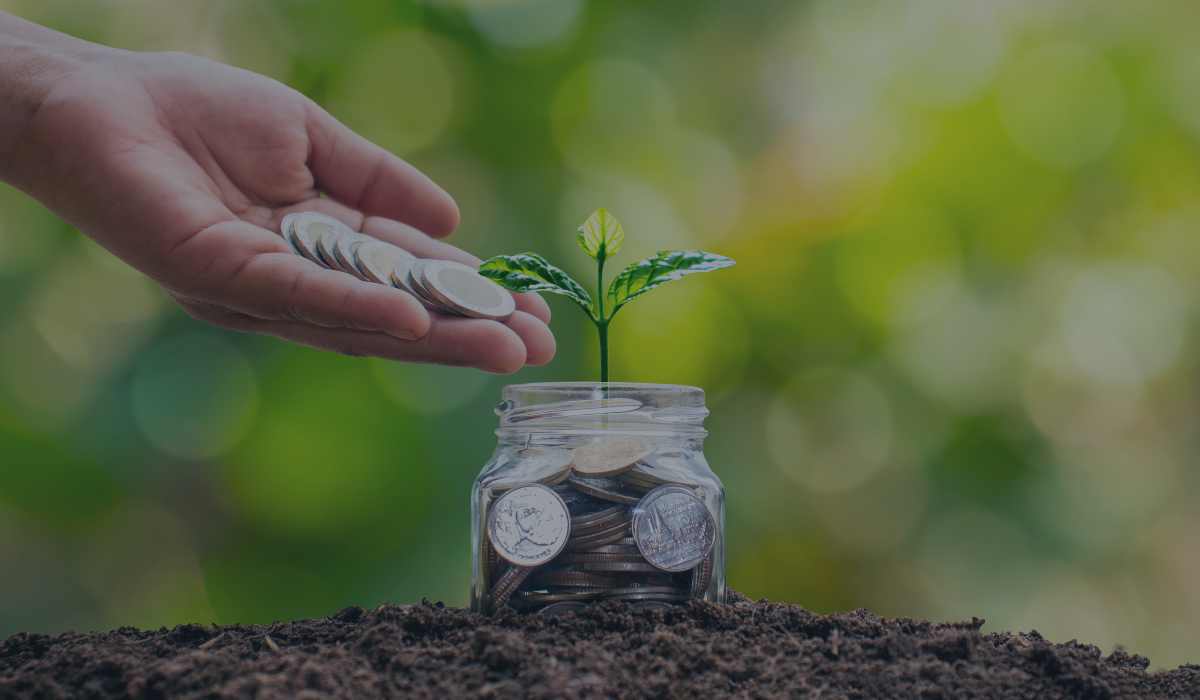 ¿Qué son y para qué sirven los portafolios de inversión en tyba?