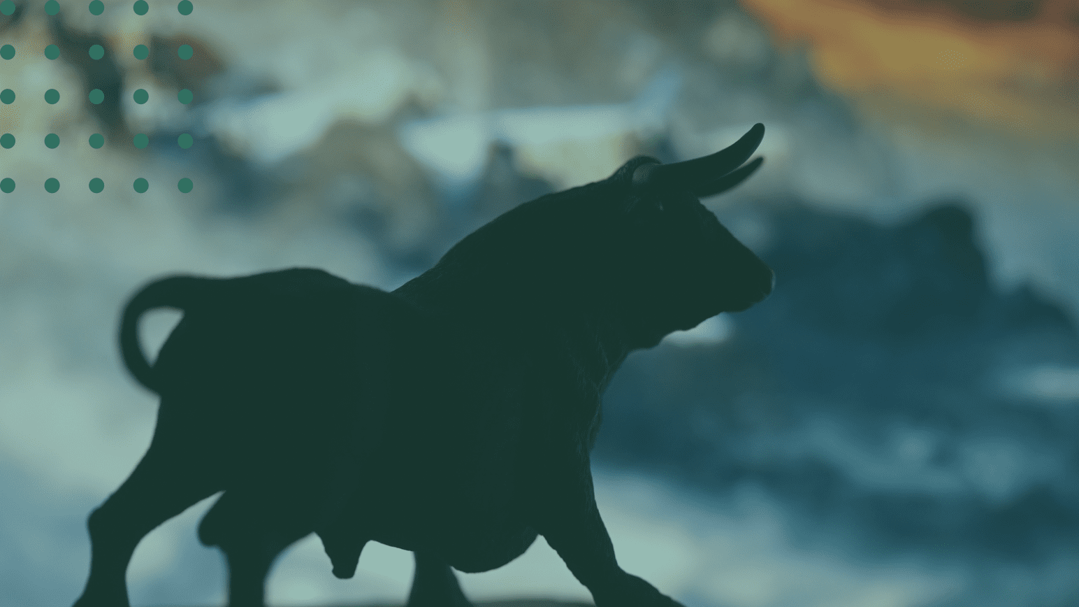 ¿Qué es un mercado alcista y cómo agarrarlo por los cuernos?
