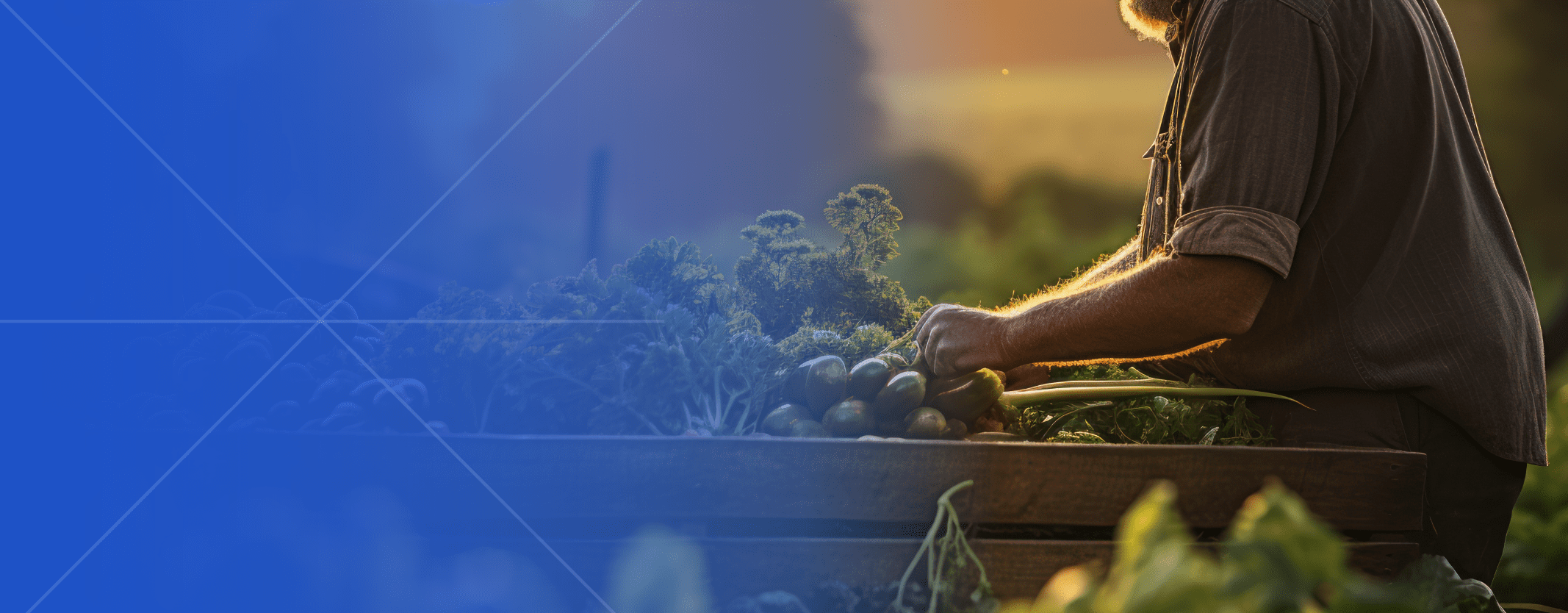 Cap. desempleo COL_Blog Web