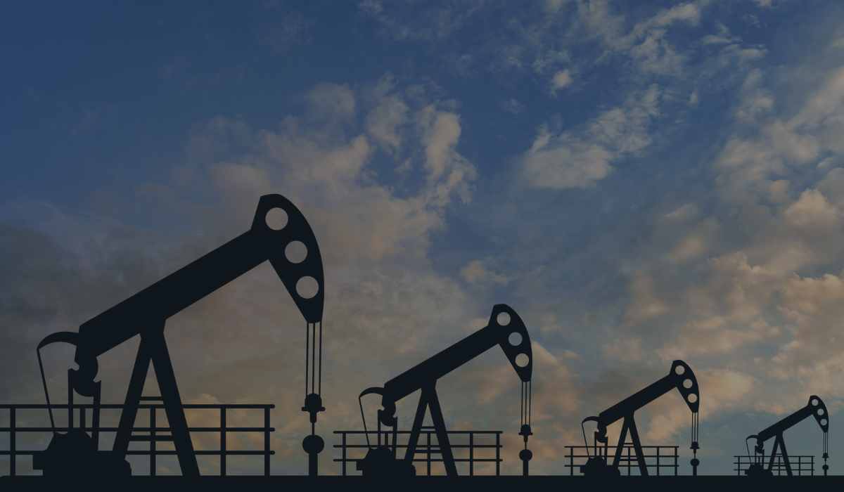 Cuáles son los principales commodities en Colombia